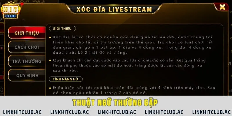 Nắm rõ 9 thuật ngữ khi chơi xóc đĩa live mà bạn thường gặp nhất